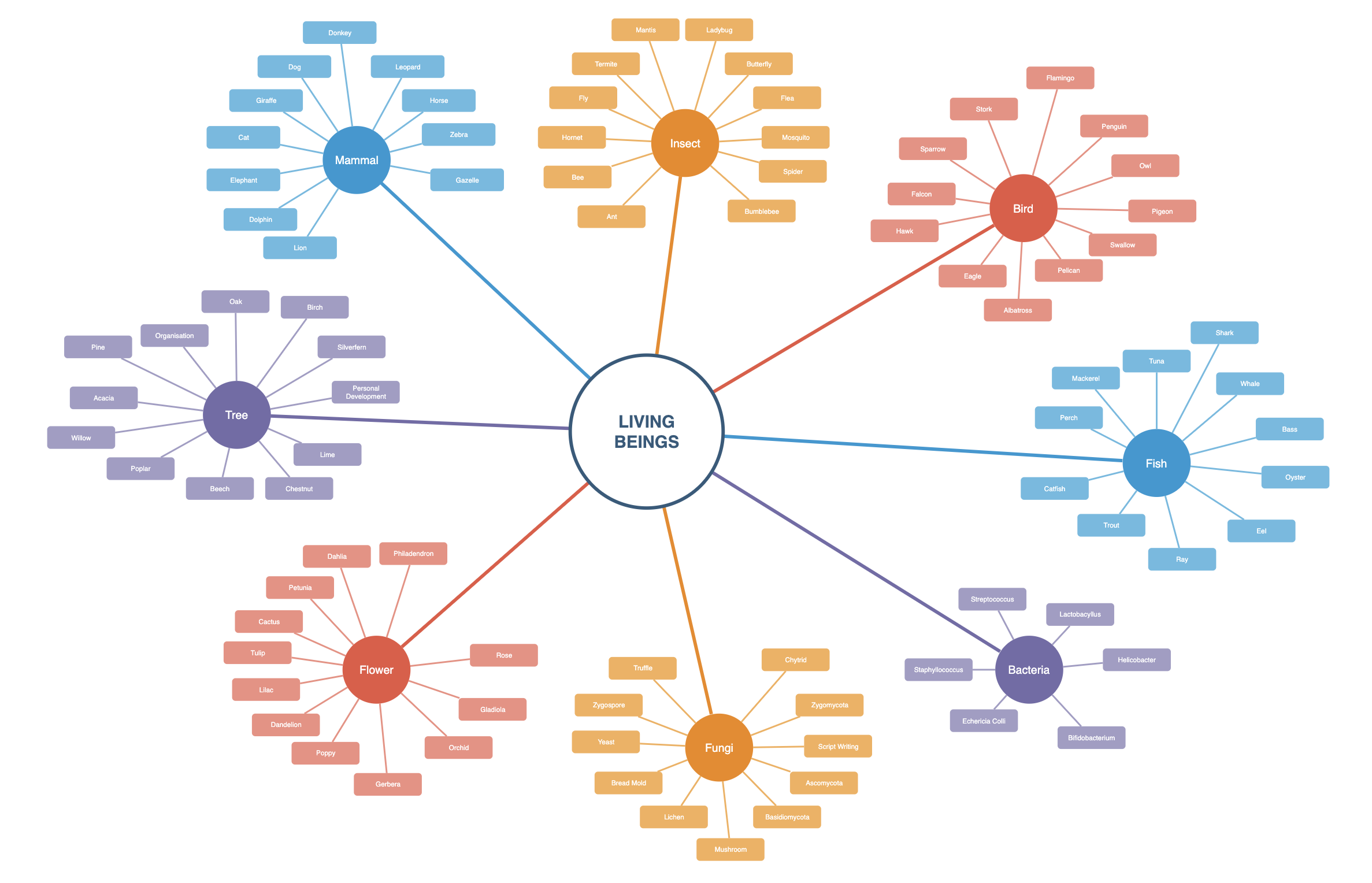 Mindmap of living beings